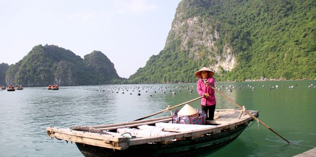 Hanoi Umgebung: Halong-Bucht, Tam Coc und Pu Luong